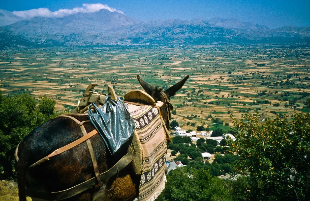 lassithi-plateau-crete