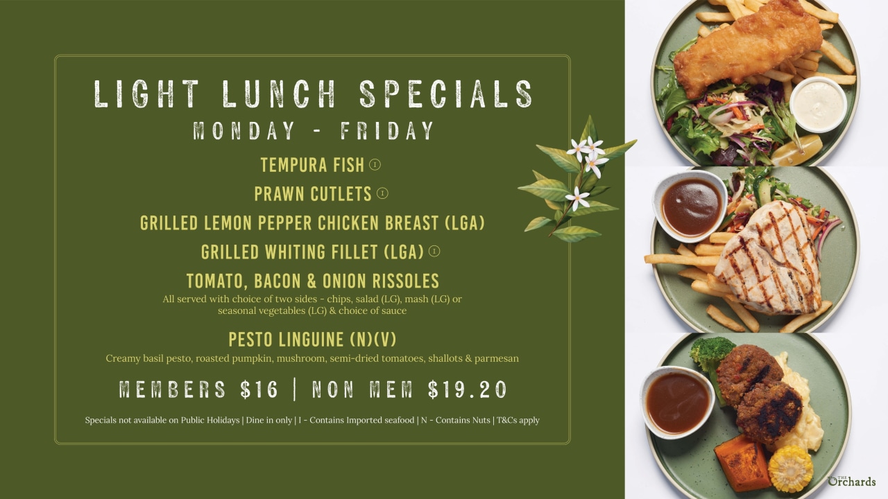 Light Lunch Specials