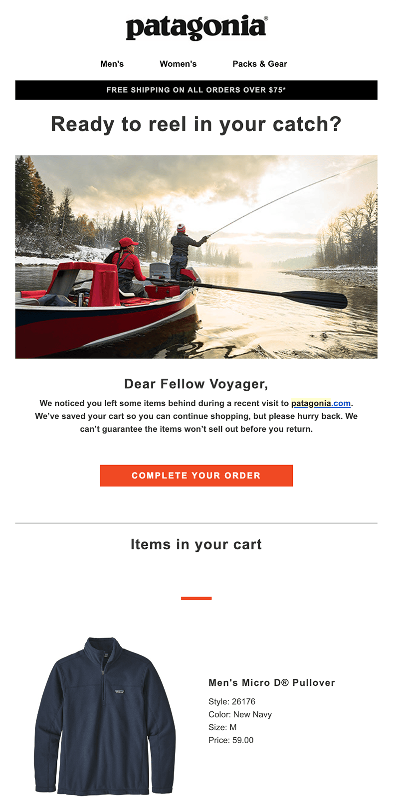abandoned cart email from Patagonia