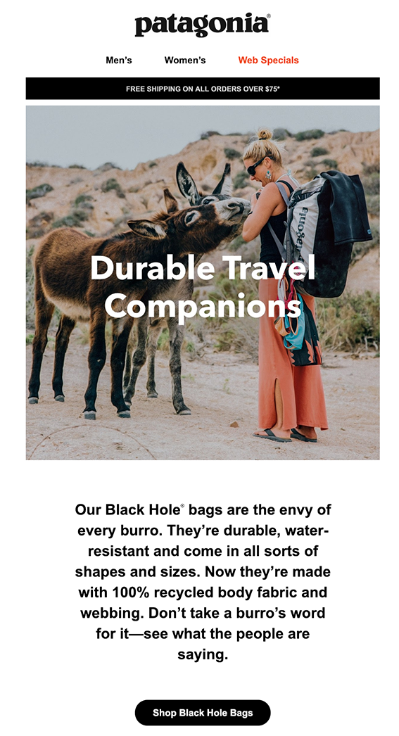 Screenshot of Patagonia welcome email with lady and two donkeys