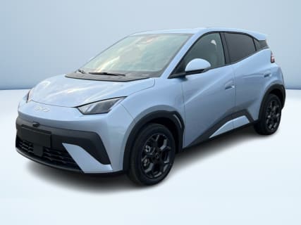 DOLPHIN SURF Comfort