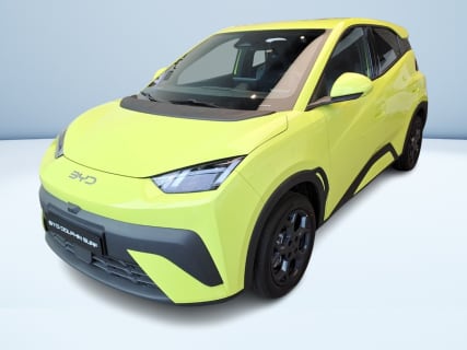 DOLPHIN SURF Comfort