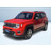 RENEGADE 1.6 MJT LIMITED 2WD 120CV