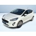 FIESTA 5P 1.0 ECOBOOST BUSINESS S&S 100CV