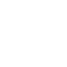 Fiat Professional