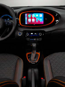 25g3cardamon-225x300 25g3cardamon-225x300