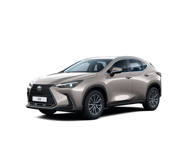 Modello ideale Lexus Modello ideale Lexus