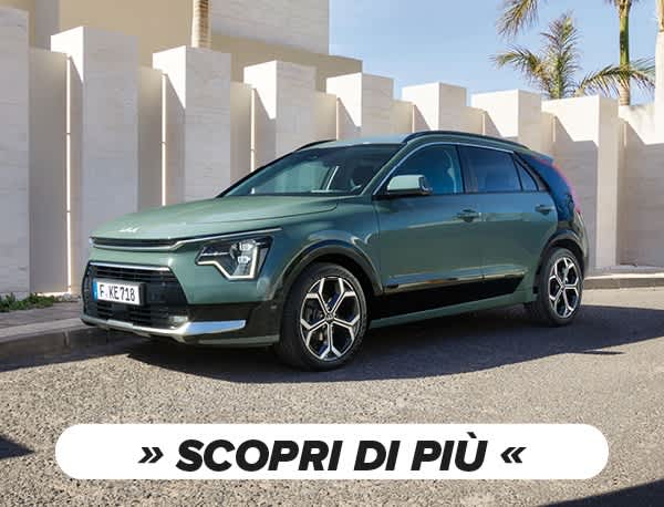 Banner Autotorino Kia Niro sconto 