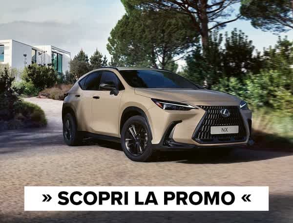 Banner Autotorino Lexus NX 