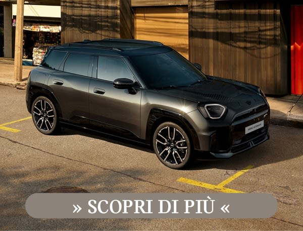 Banner Autotorino Mini Aceman