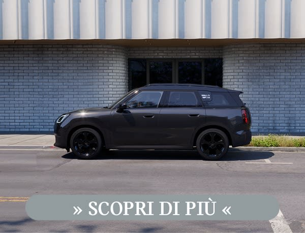 Banner Autotorino Mini Countryman