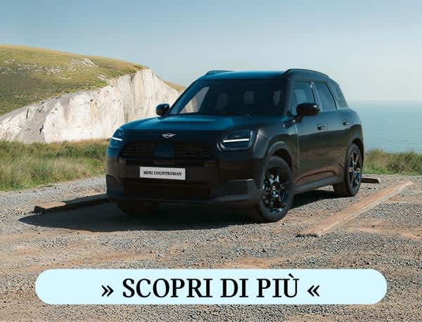 Banner Autotorino Mini Countryman