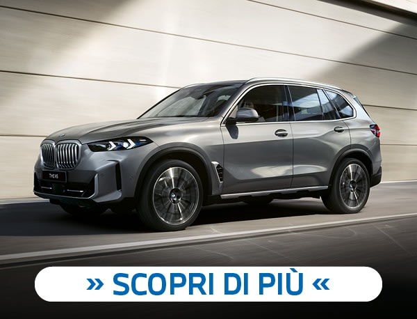 Banner Autotorino BMW X5