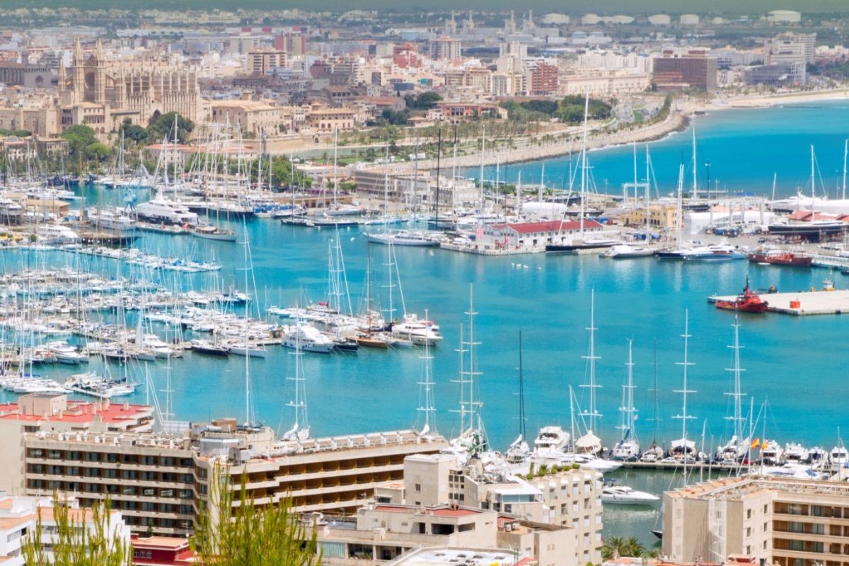 The best of Palma