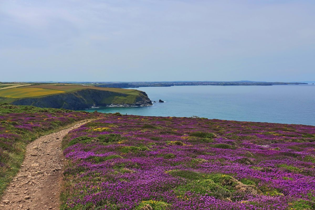 Moorland meander