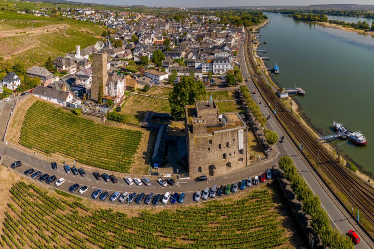 Discover the Rhine and Rüdesheim