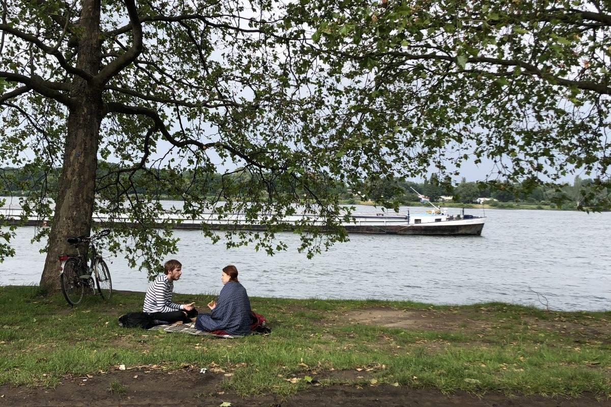 The Taste of Mainz