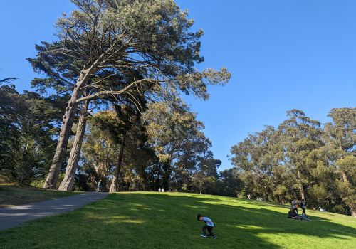 Hippie Hill