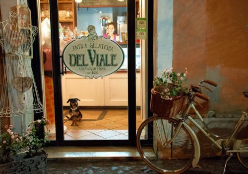 Gelateria del Viale
