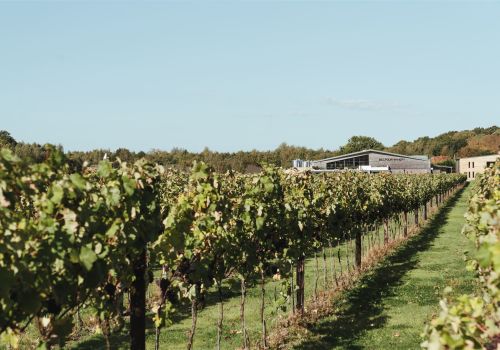 Balfour Winery
