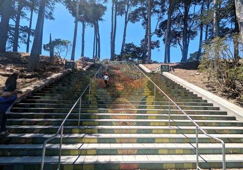 Lincoln Park Steps