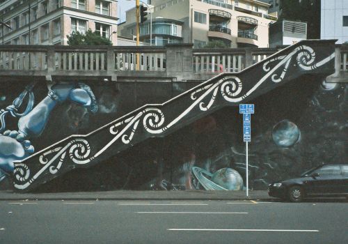 Sturdee street murals