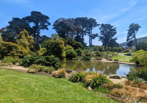 San Francisco Botanical Garden