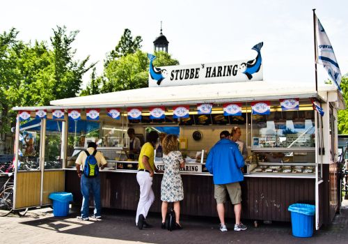 Stubbe's Haring