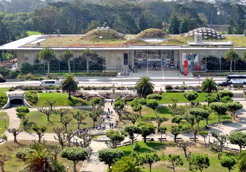 California Academy of Sciences