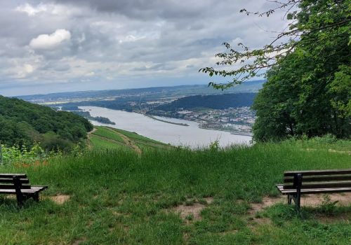 Lookout point on the Rhine