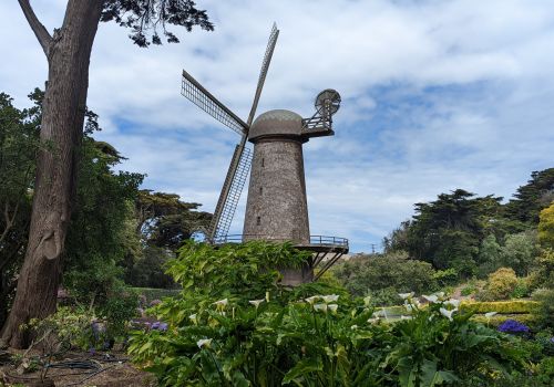 Dutch Windmill
