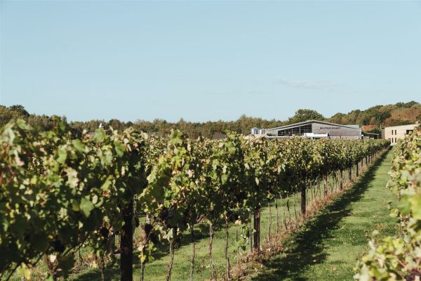 Kent Wineries a Vintage Voyage