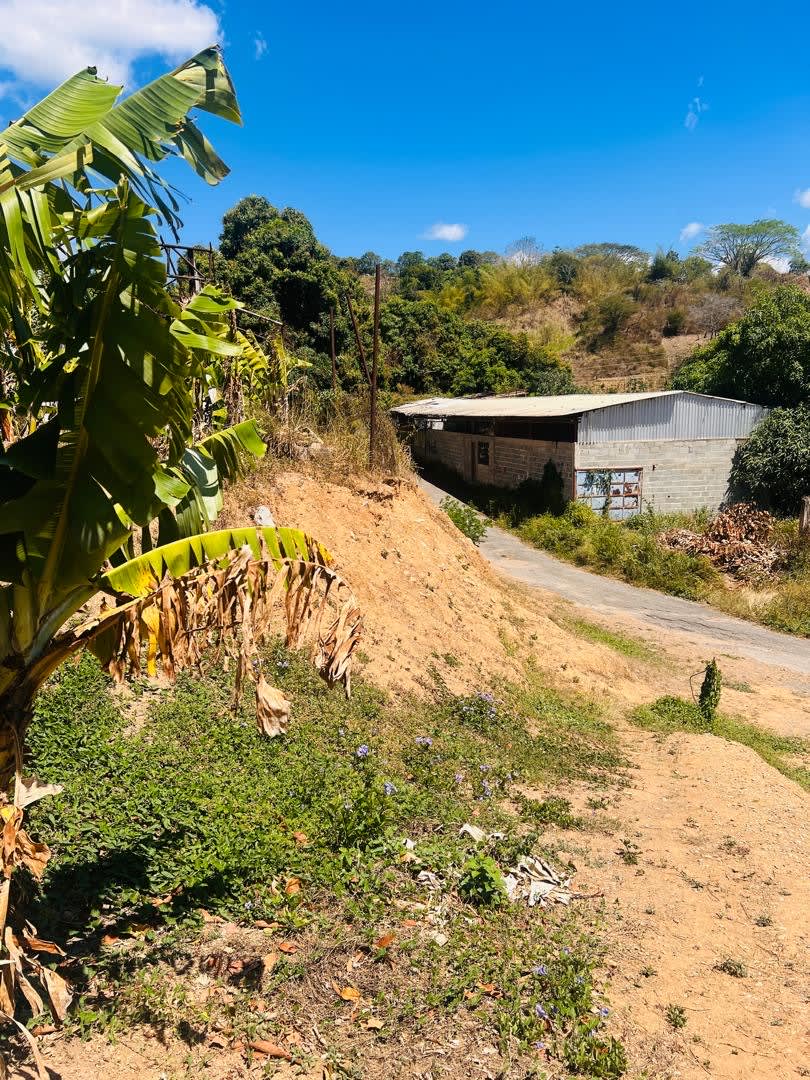 Terreno en La Zona Inditrial Care — foto 6