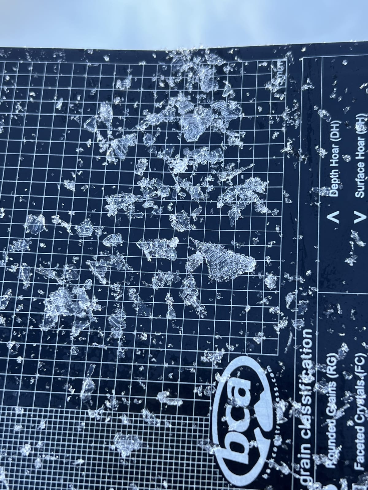 Dec 1 surface hoar (12mm-20mm), well preserved 60cm down below the Dec 6 rain crust, no results in extended test or compression.