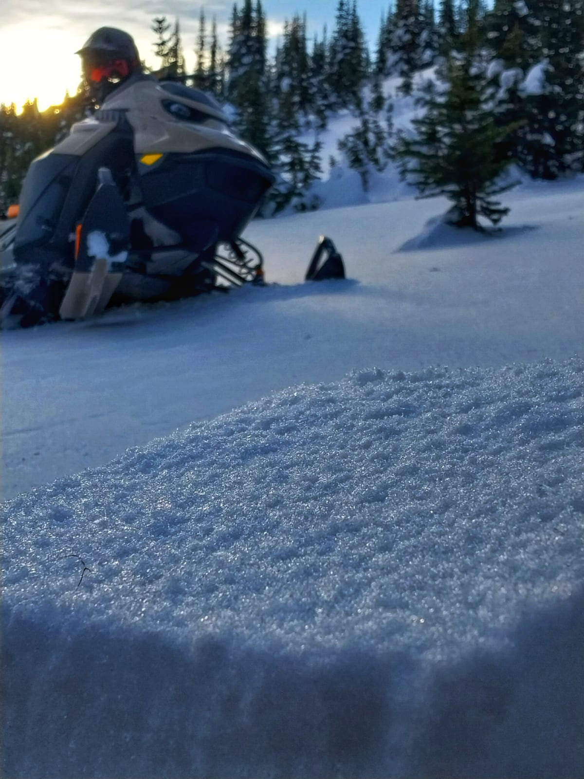 Dec 1 Surface Hoar up close 