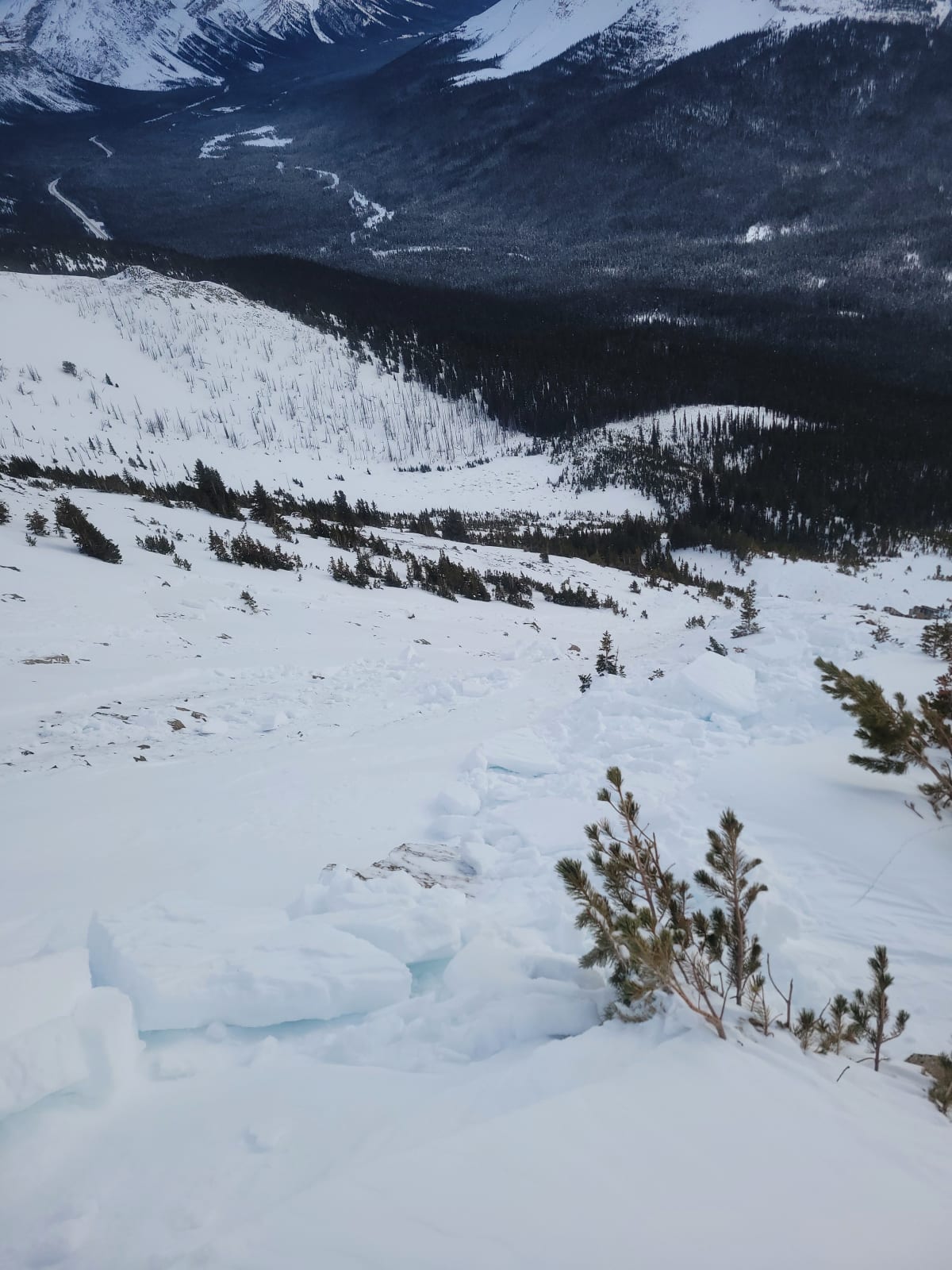 Avalanche scrubbed ground in areas, while only releasing the windslab in others.