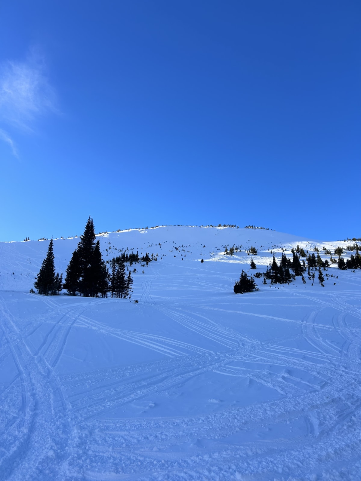 Older Slide NE aspect