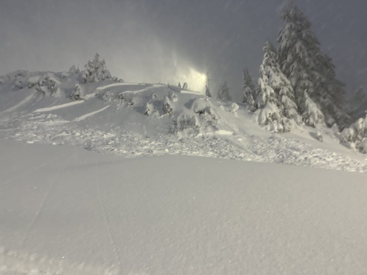 Size 1 slab avalanche failed on newly buried SH