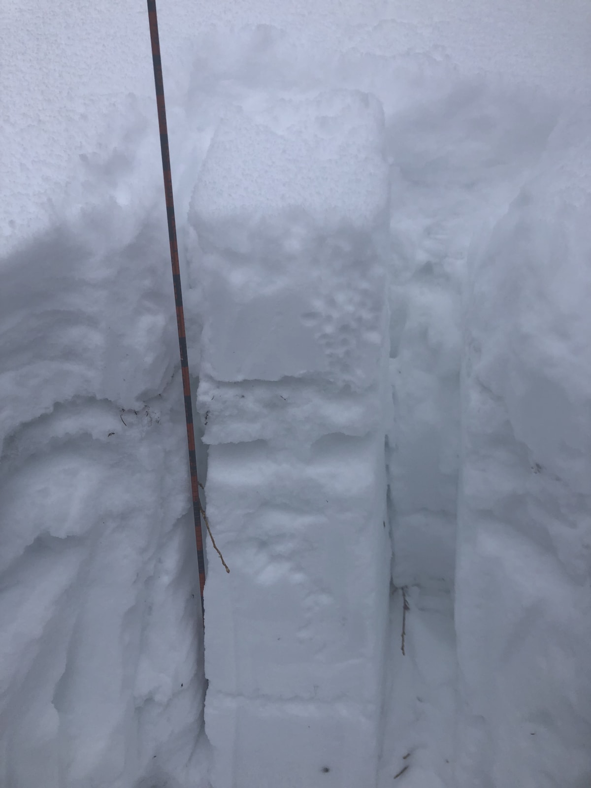 Snowpack at 1550 m. Snow depth was 150 cms. 
25 cms of powder on top of a 10 cm thick ice crust. Faceting beneath the ice crust. There is a second ice crust about 45 cms down, and one near the bottom. Lower snowpack was very solid with minimal faceting. No sign of buried surface hoar. 
Performed a 30 x 30 compression test. The storm snow failed as a cohesive slab after 15 taps (moderate). The ice crust also failed in the High range (25 taps). 