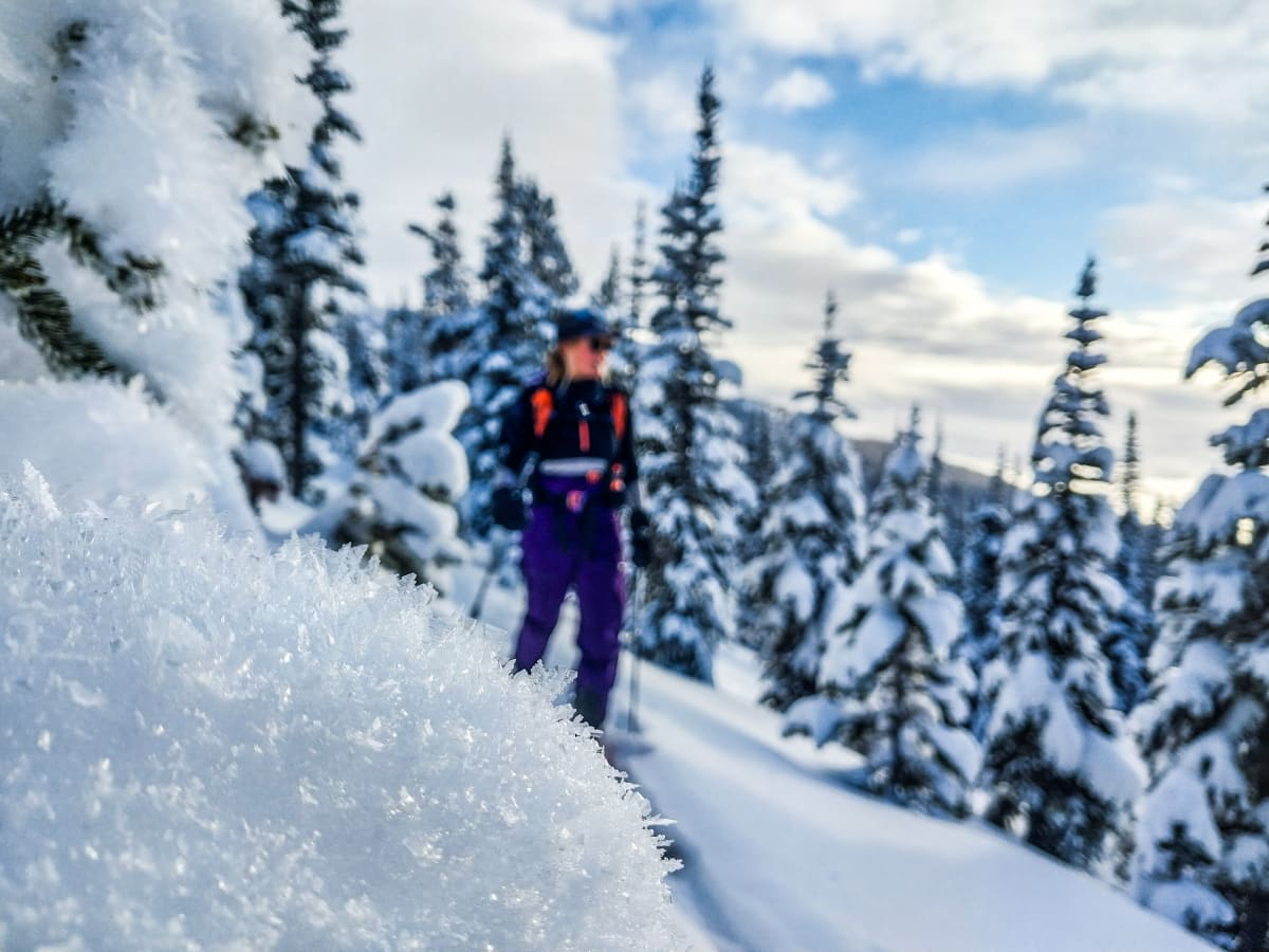 Some new surface hoar growth sparkling on the surface.