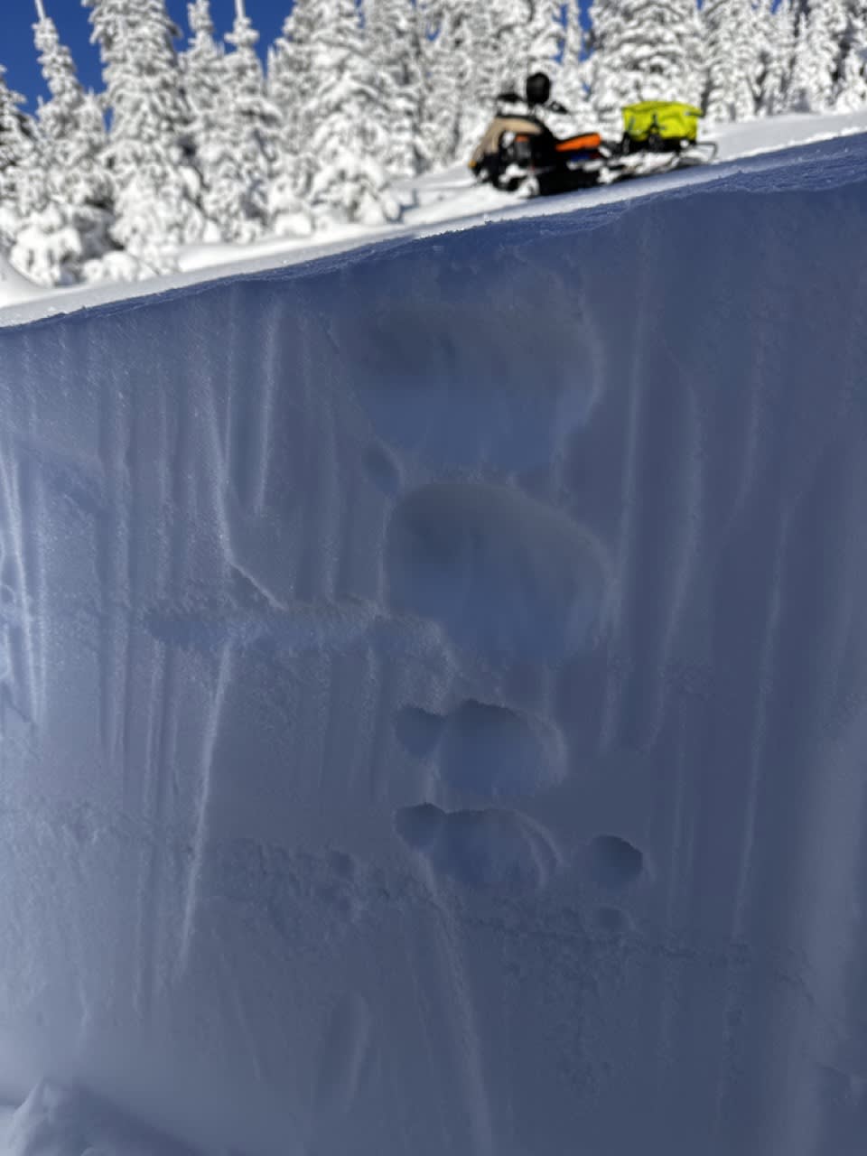 Soft new snow sits over a layer of  small surface hoar crystals over a crust at treeline. We aren't seeing any avalanches on this layer yet, but will be keeping an eye on it for the next while. 
