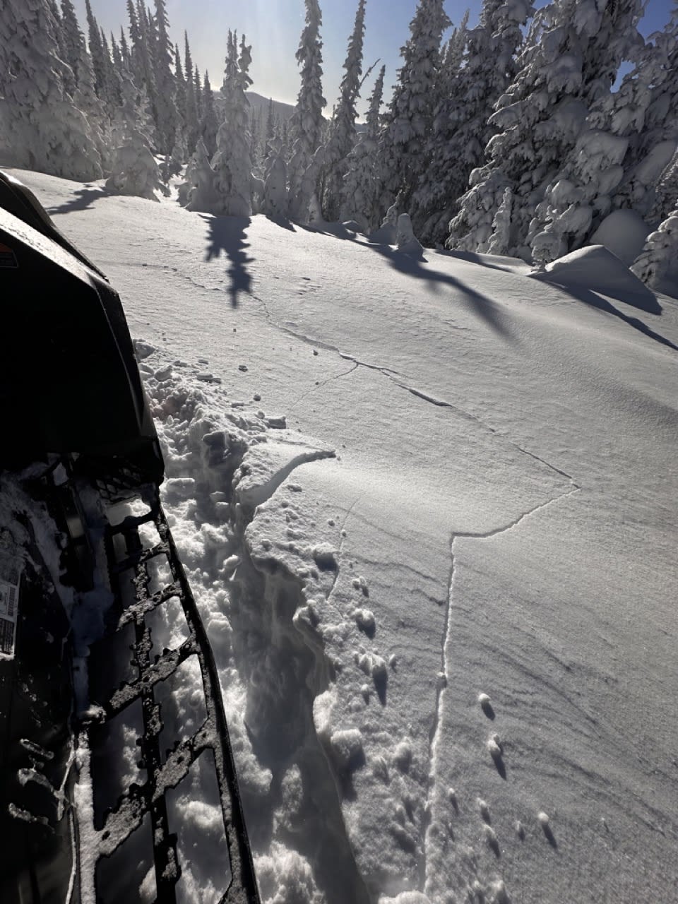 A shooting crack in the new soft windslabs found on southerly aspects. 