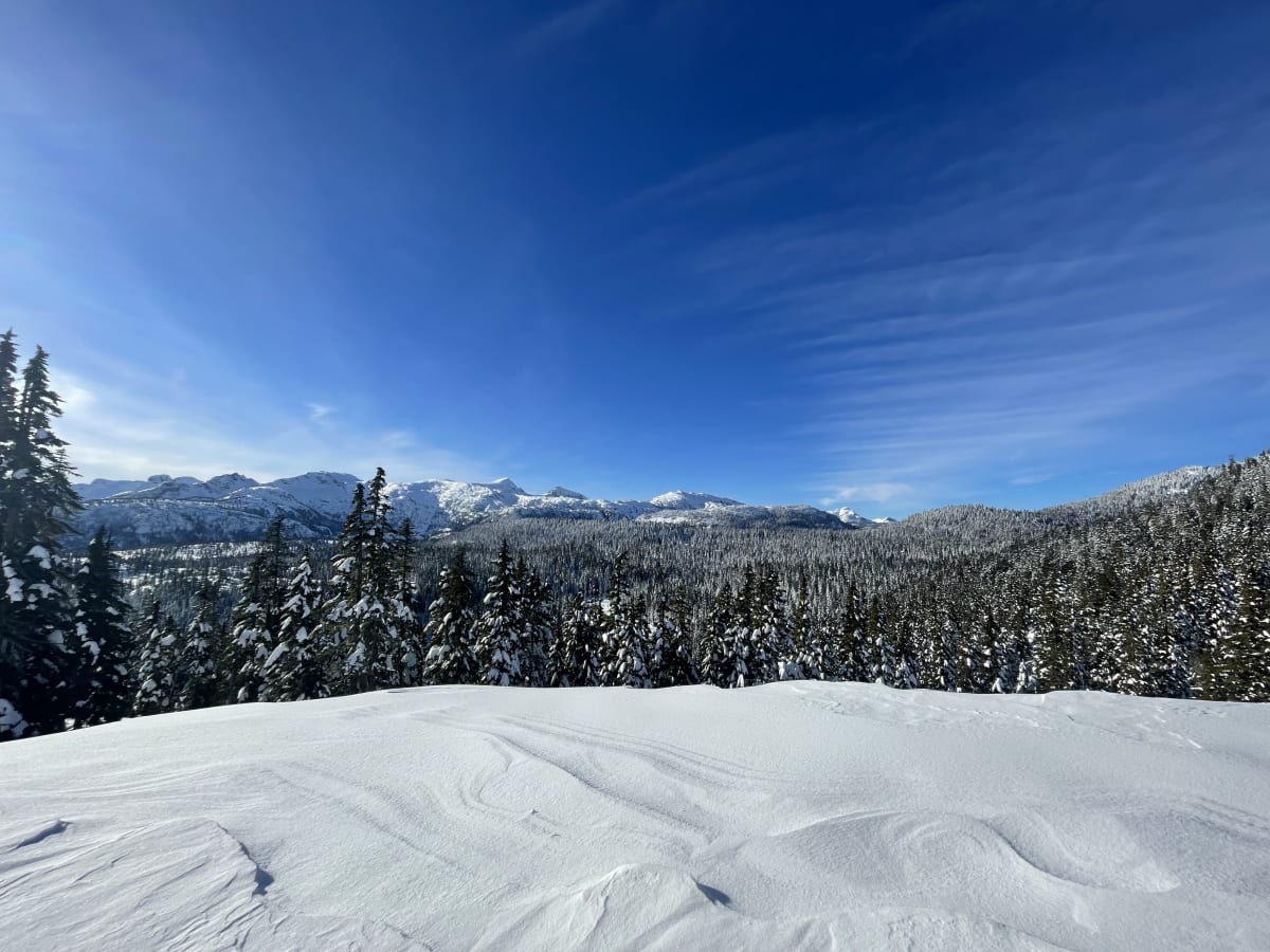 Wind affected NE facing slope.