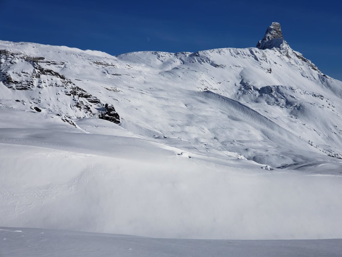 Wind effect in Alp.
