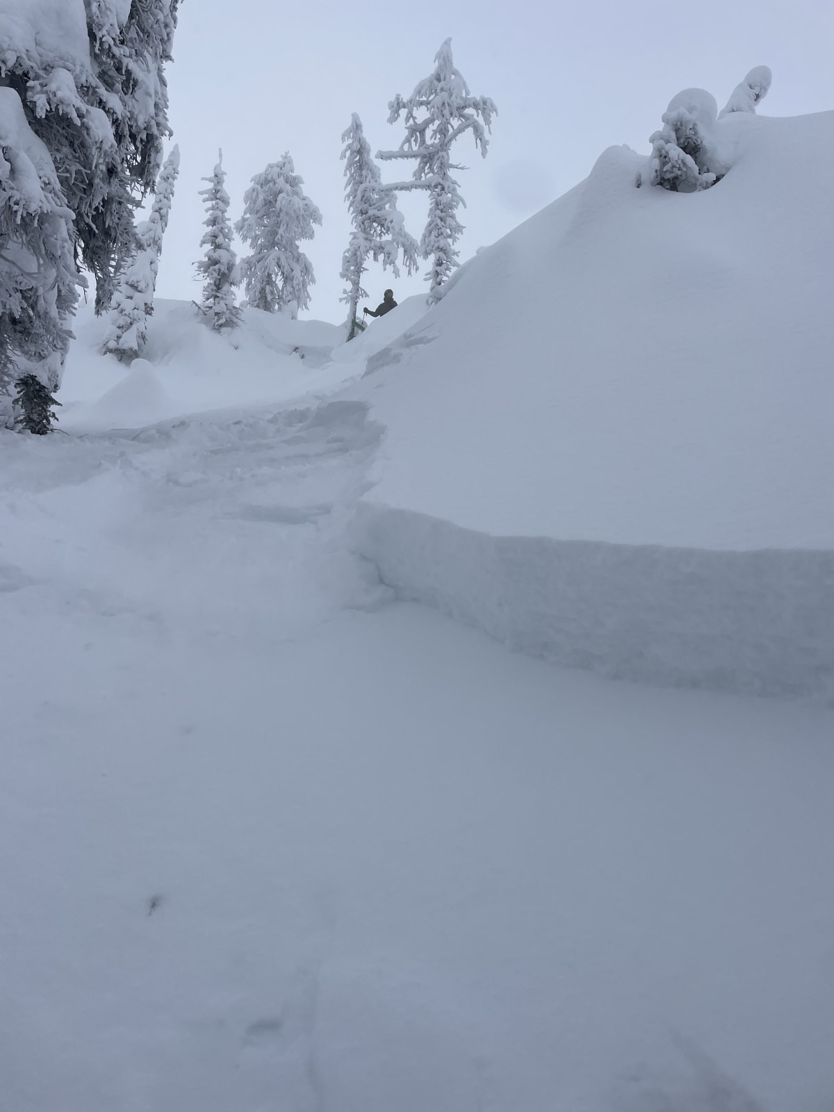 Picture of the crown