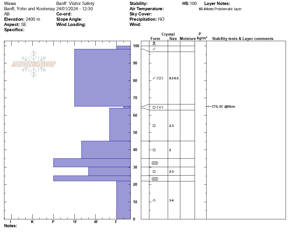 Easy sudden collapse results in the Dec 31 facets/surface hoar layer down 35 cm.  The layer is mainly weak facets. The surface hoar was decomposing and hard to find, but still present. Lots of wind affect in the alpine with a few whumpfs in the wind-affected terrain.