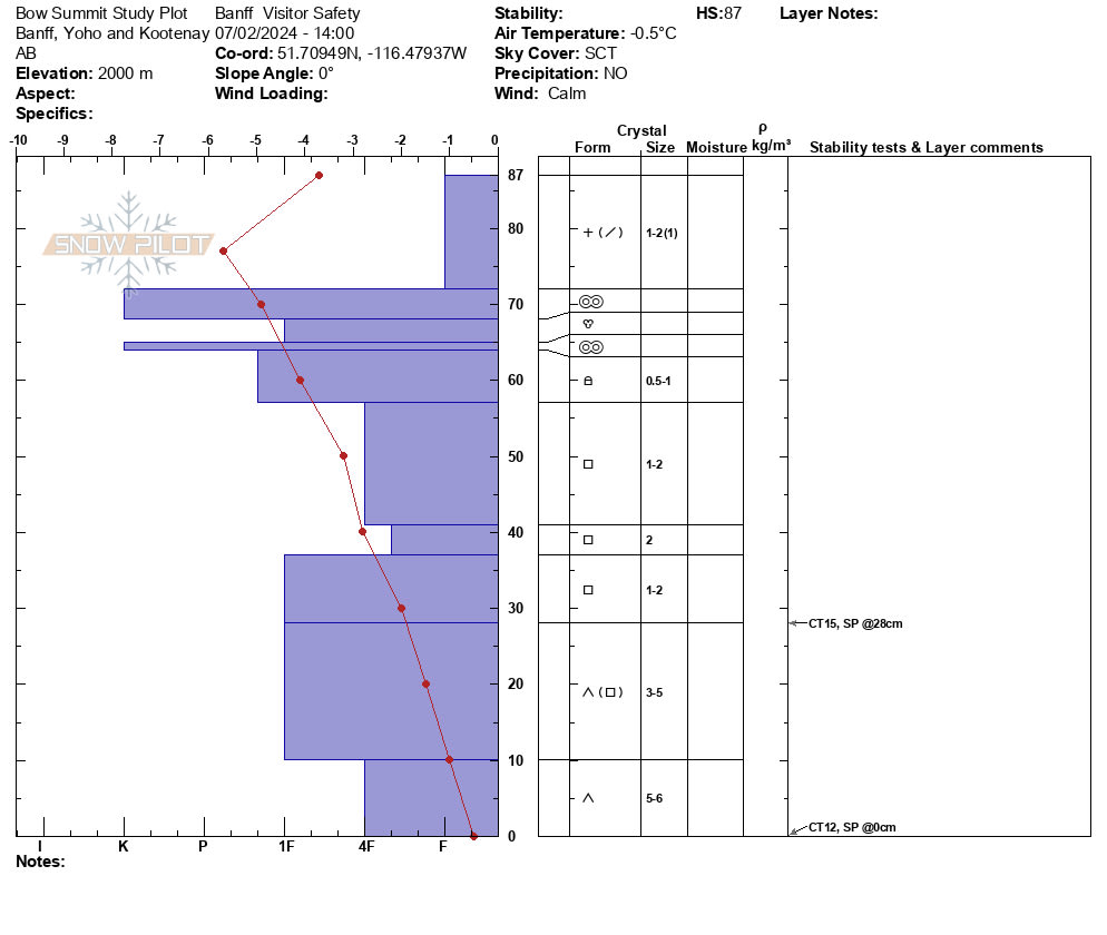 Bow Summit study plot profile Feb 07, 2024.