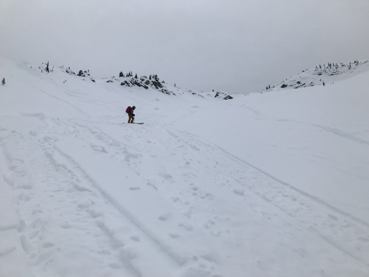 Tons of sled tracks everywhere, no recent slide activity seen. 