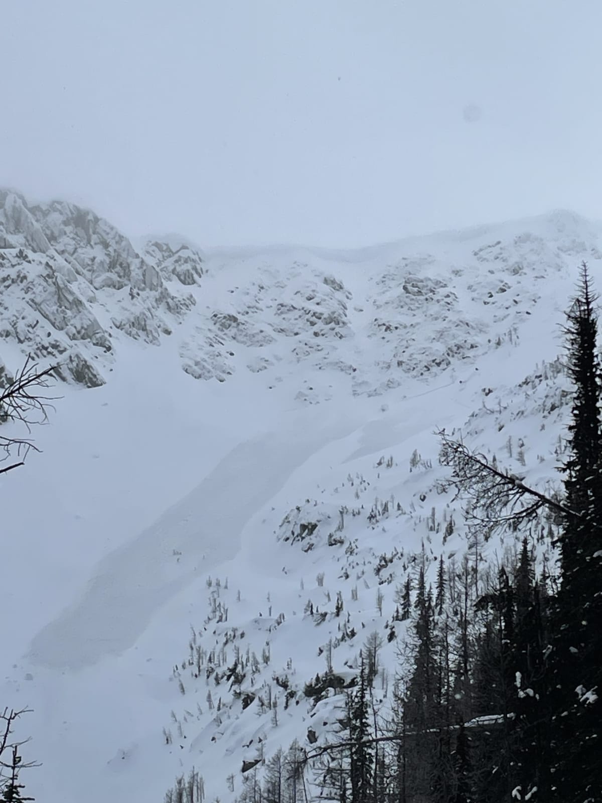 Fresh avalanche north bowl of Grassy Mountain