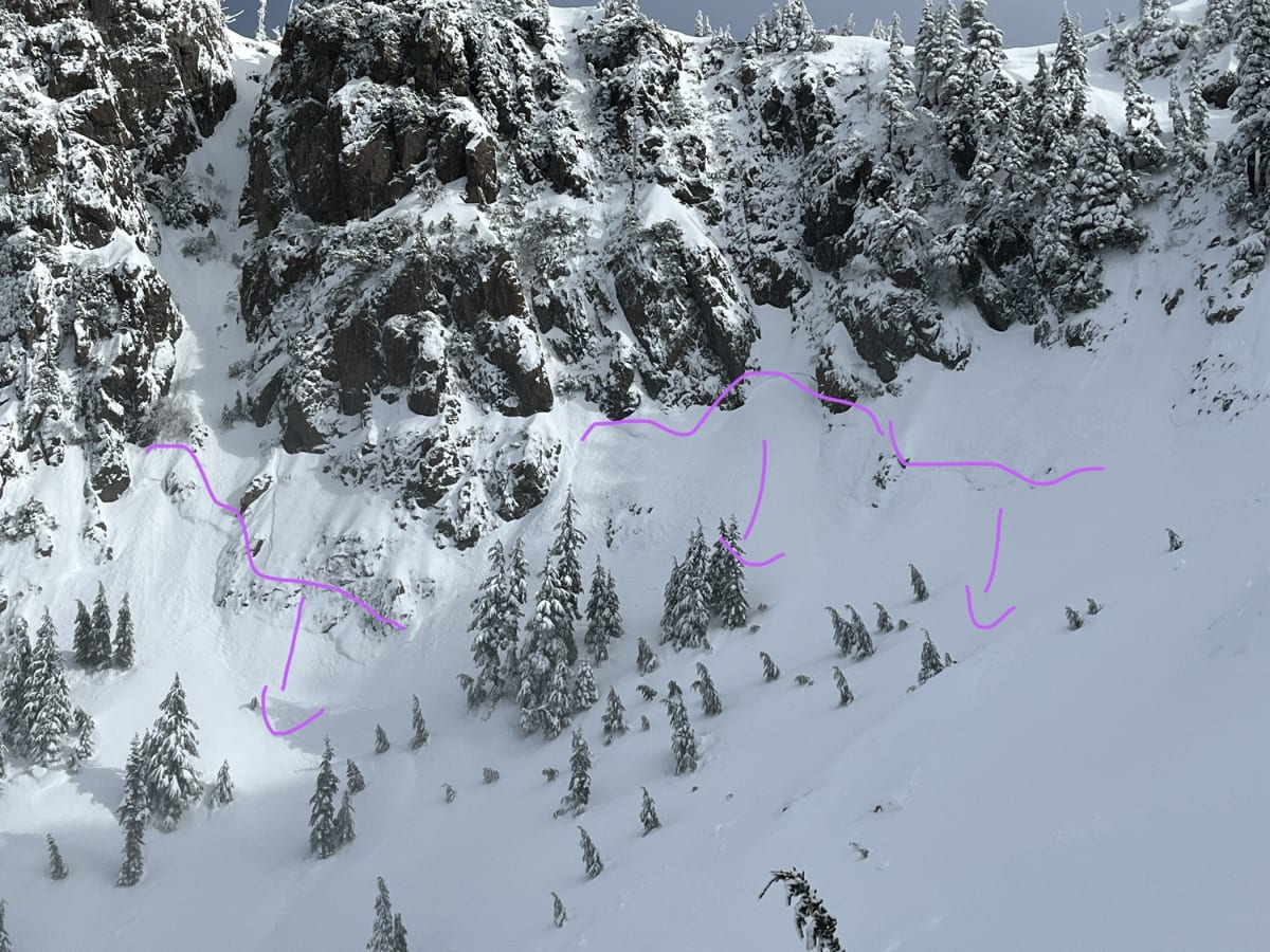Crown lines